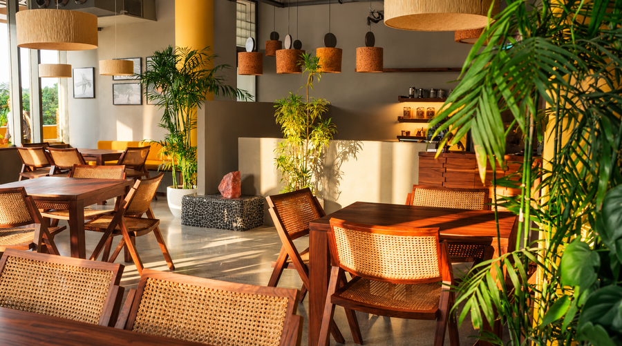 How I'd Pick the Best Cafe in Chandigarh If I Only Had One Afternoon